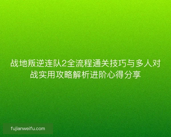 战地叛逆连队2全流程通关技巧与多人对战实用攻略解析进阶心得分享