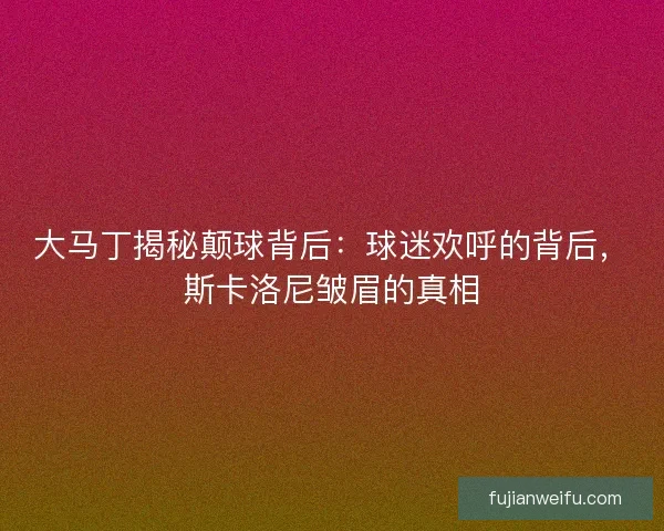 大马丁揭秘颠球背后：球迷欢呼的背后，斯卡洛尼皱眉的真相