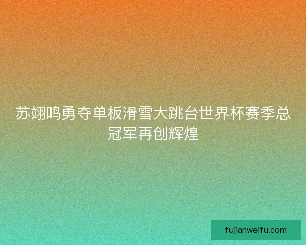 苏翊鸣勇夺单板滑雪大跳台世界杯赛季总冠军再创辉煌
